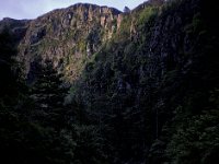 Ravine in Forest